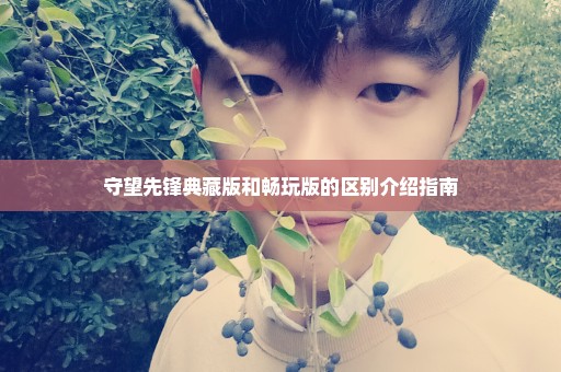 守望先锋典藏版和畅玩版的区别介绍指南