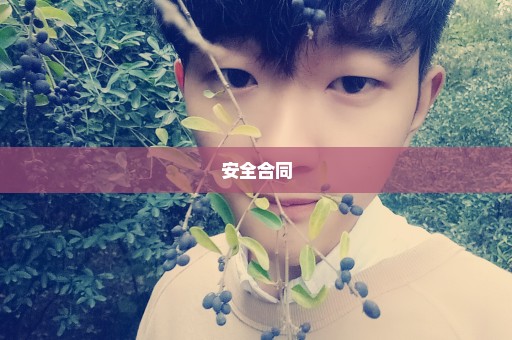 安全合同