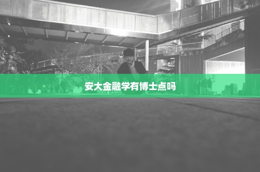 安大金融学有博士点吗
