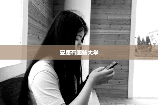 安康有哪些大学