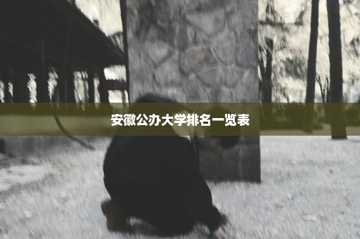 安徽公办大学排名一览表