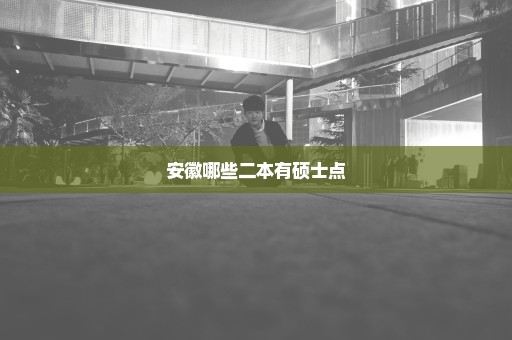 安徽哪些二本有硕士点
