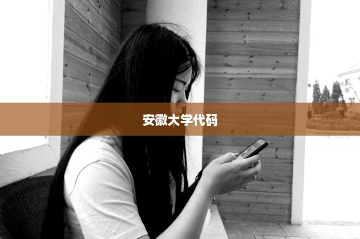 安徽大学代码