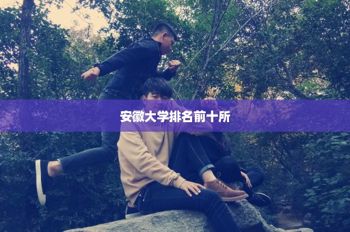 安徽大学排名前十所