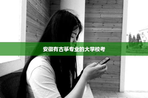 安徽有古筝专业的大学校考