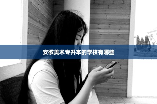 安徽美术专升本的学校有哪些