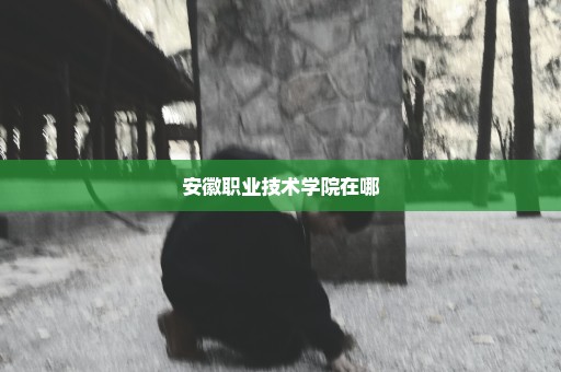 安徽职业技术学院在哪