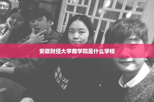安徽财经大学商学院是什么学校