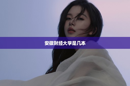 安徽财经大学是几本