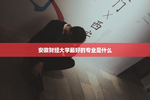 安徽财经大学最好的专业是什么