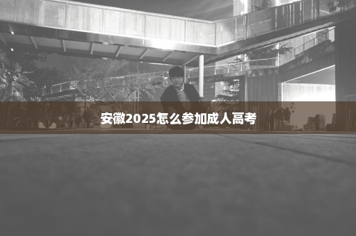 安徽2025怎么参加成人高考