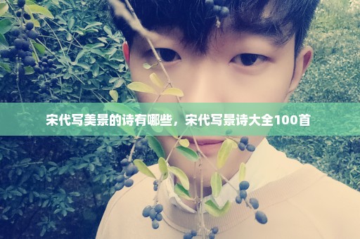 宋代写美景的诗有哪些，宋代写景诗大全100首 