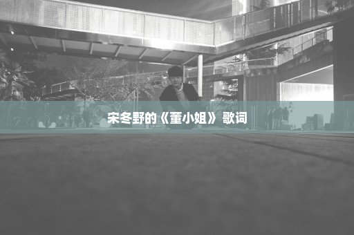 宋冬野的《董小姐》 歌词