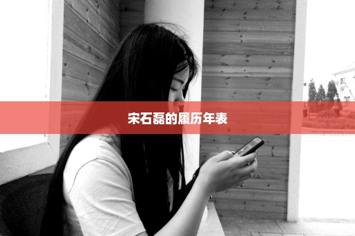 宋石磊的履历年表