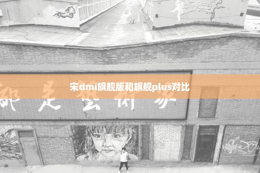 宋dmi旗舰版和旗舰plus对比