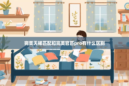 完美天梯匹配和完美官匹pro有什么区别
