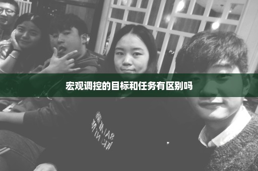 宏观调控的目标和任务有区别吗