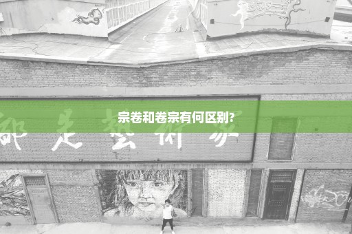 宗卷和卷宗有何区别?