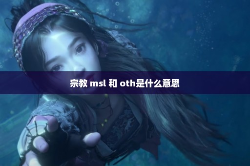 宗教 msl 和 oth是什么意思
