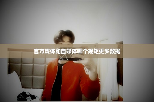 官方媒体和自媒体哪个规矩更多数据