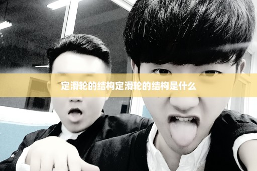 定滑轮的结构定滑轮的结构是什么