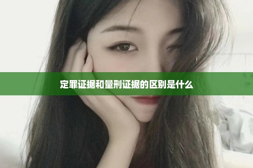 定罪证据和量刑证据的区别是什么