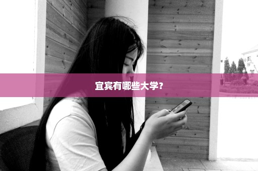 宜宾有哪些大学？