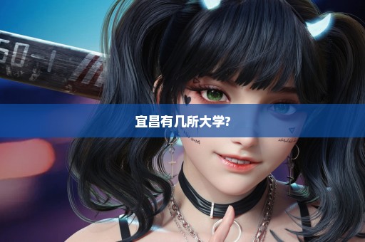 宜昌有几所大学?