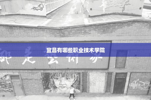 宜昌有哪些职业技术学院