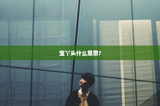 宝丫头什么意思?