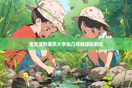 宝圣湖到重庆大学坐几号线轻轨到达
