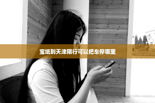 宝坻到天津限行可以把车停哪里