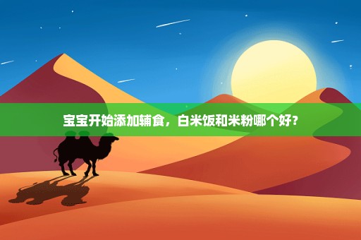 宝宝开始添加辅食，白米饭和米粉哪个好？