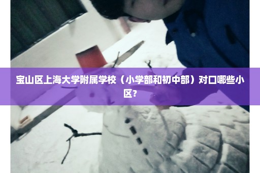 宝山区上海大学附属学校（小学部和初中部）对口哪些小区？