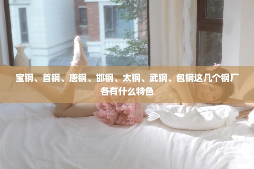 宝钢、首钢、唐钢、邯钢、太钢、武钢、包钢这几个钢厂各有什么特色