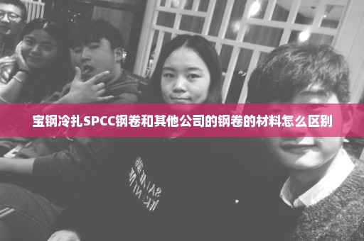 宝钢冷扎SPCC钢卷和其他公司的钢卷的材料怎么区别