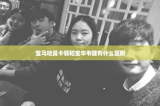 宝马哈曼卡顿和宝华韦健有什么区别