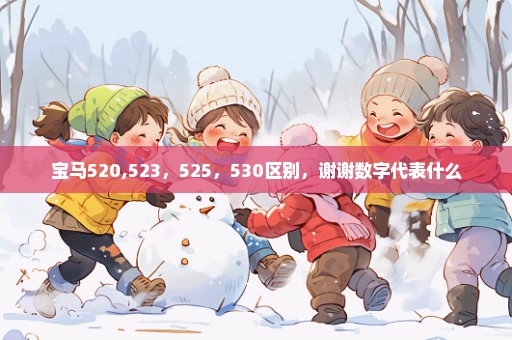 宝马520,523，525，530区别，谢谢数字代表什么