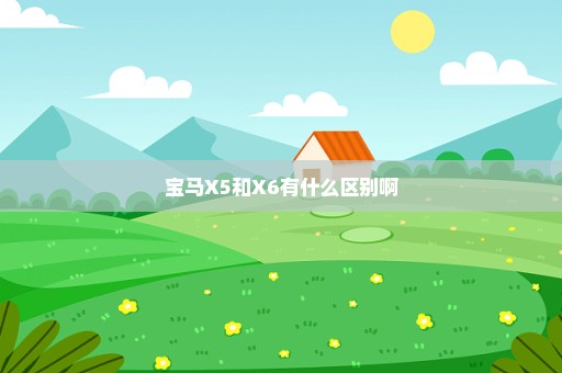 宝马X5和X6有什么区别啊