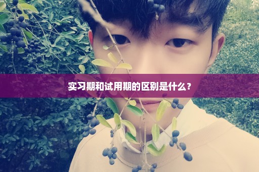 实习期和试用期的区别是什么？
