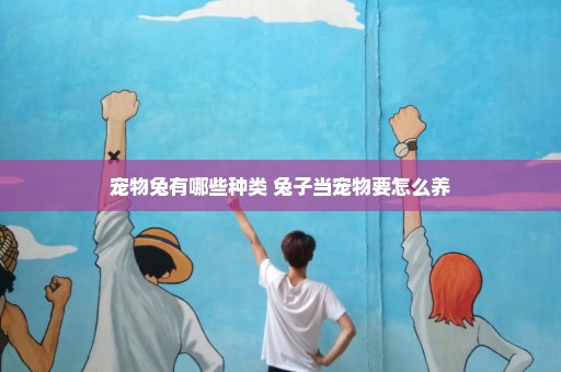 宠物兔有哪些种类 兔子当宠物要怎么养