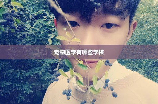 宠物医学有哪些学校