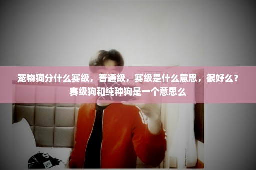 宠物狗分什么赛级，普通级，赛级是什么意思，很好么？赛级狗和纯种狗是一个意思么