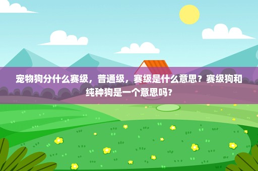 宠物狗分什么赛级，普通级，赛级是什么意思？赛级狗和纯种狗是一个意思吗？