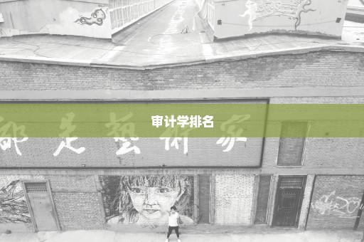 审计学排名
