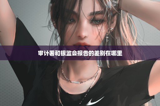 审计署和银监会报告的差别在哪里
