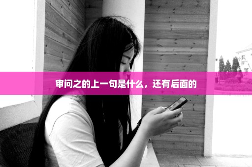 审问之的上一句是什么，还有后面的