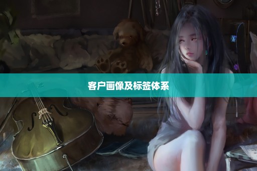 客户画像及标签体系