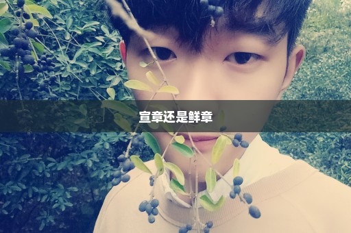 宣章还是鲜章