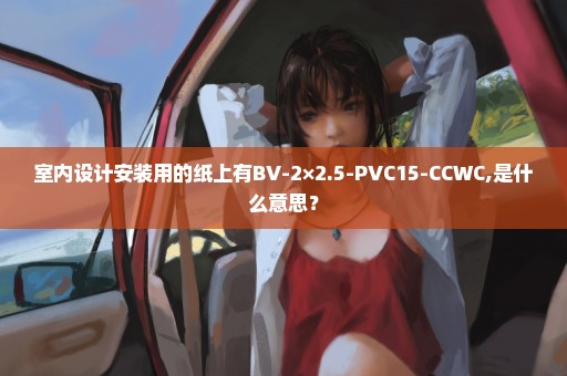 室内设计安装用的纸上有BV-2×2.5-PVC15-CCWC,是什么意思？